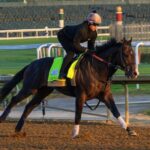 Kentucky Derby 2026 Scratches