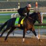 Kentucky Derby 2026 Scratches
