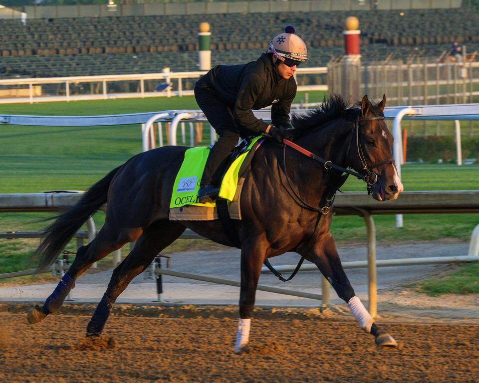 Kentucky Derby 2026 Scratches