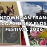 SF Cherry Blossom Festival 2026