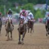 2026 Preakness Stakes contendors