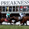 Preakness Stakes Horses 2026: Every Contender Profiled